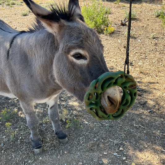 Burro with Hanging Luna Ring