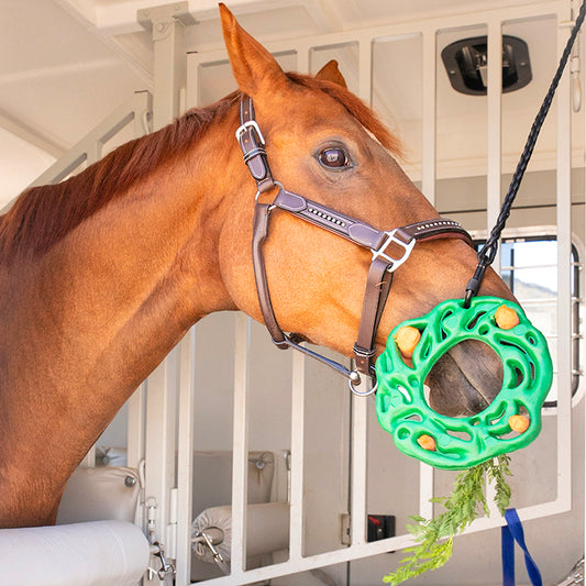 Brown horse with green Luna Ring filled with carrots